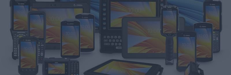 Leasing & Rentals Leasing & Rentals