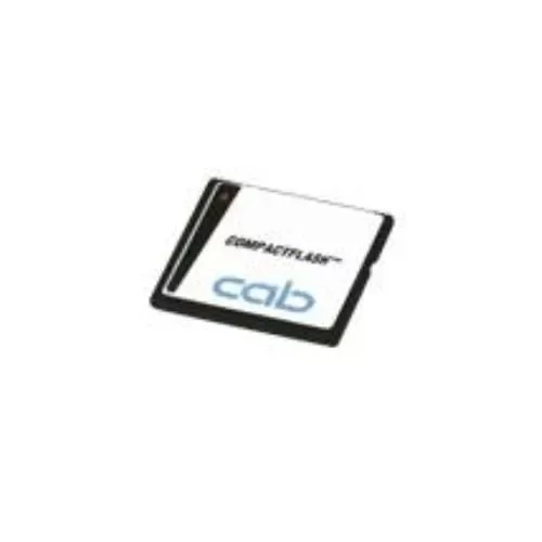 Type 1 Compact Flash memory card