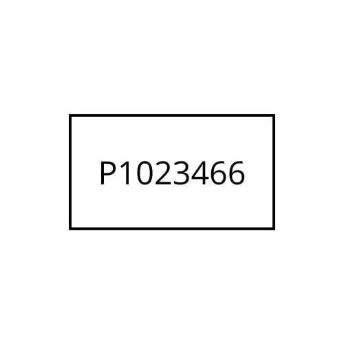 Zebra P1023466