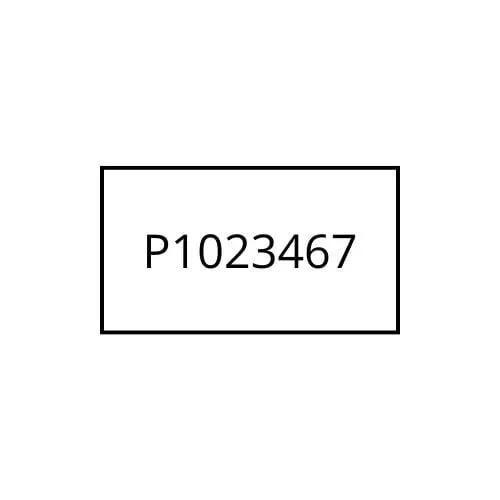 Zebra P1023467