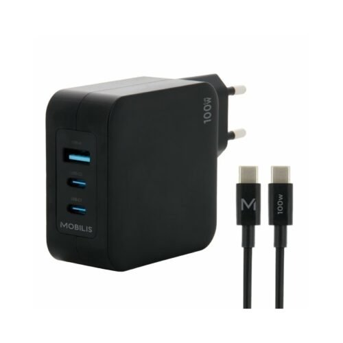 Wall charger 100W Landi 001365